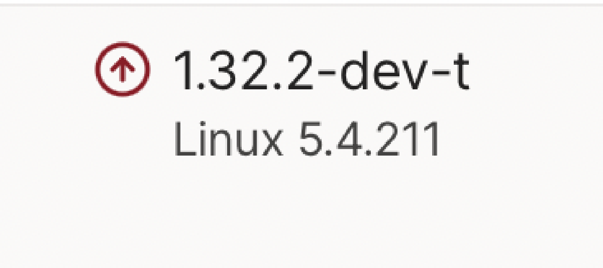 Shipping version of tailscale